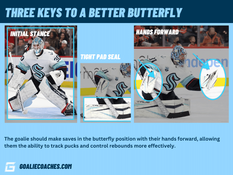 Developing A Better Butterfly Three Key Elements To Success