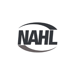 The goalie Training App That Puts A Goalie Coach In Your Pocket (image 6)